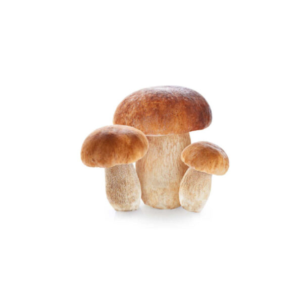 Funghi porcini - lame extra