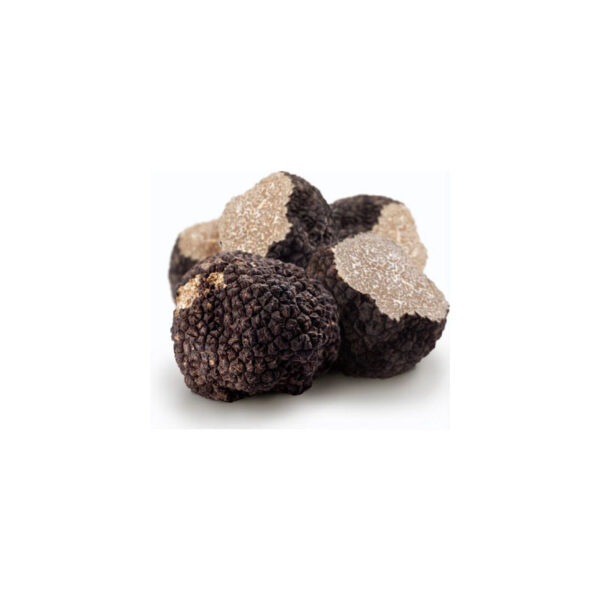 Tartufo nero estivo intero